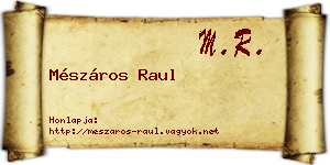 Mészáros Raul névjegykártya